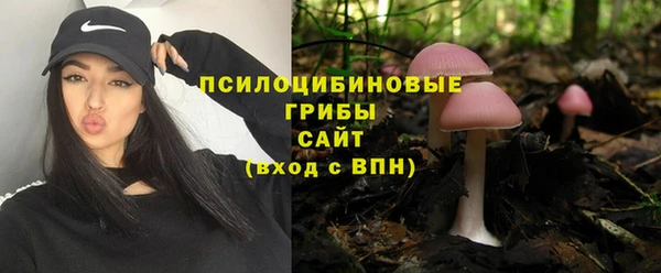 шишки Снежинск