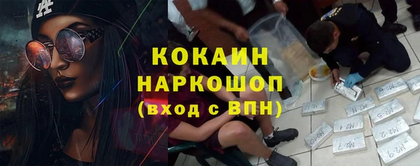 шишки Снежинск
