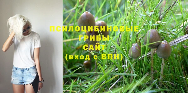 прущая мука Снежногорск