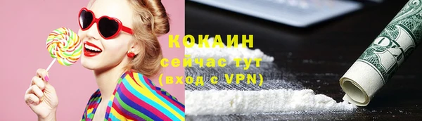 шишки Снежинск