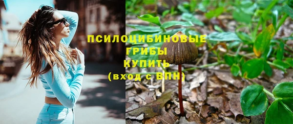 шишки Снежинск