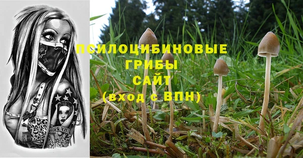 прущая мука Снежногорск