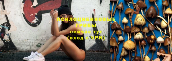 прущая мука Снежногорск