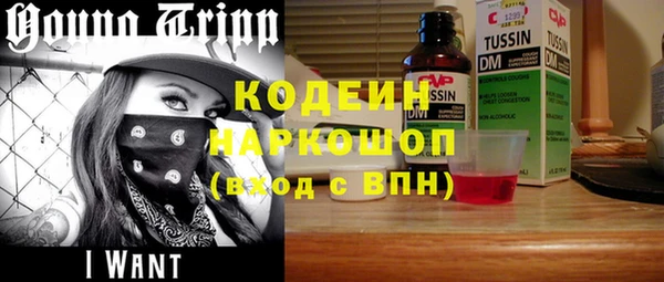 шишки Снежинск