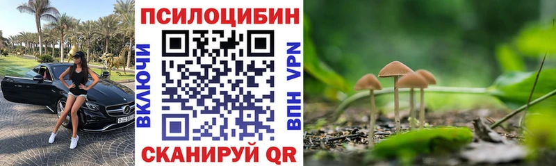 Галлюциногенные грибы GOLDEN TEACHER  Купить  Петров Вал 